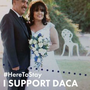 Meet your Posher, Gail